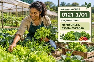 CNAE 0121-1/02 Cultivo de Morango: Guia para Abrir e Tributar