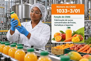CNAE 1033-3/01 Fabricação de Sucos Concentrados de Frutas, Hortaliças e Legumes: Guia para Abrir e Tributar