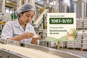 CNAE 1061-9/01 Beneficiamento de Arroz: Guia para Abrir e Tributar