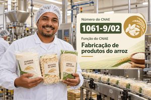 CNAE 1061-9/02 Fabricação de Produtos do Arroz: Guia para Abrir e Tributar