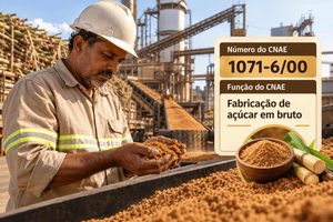 CNAE 1071-6/00 Fabricação de Açúcar em Bruto: Guia para Abrir e Tributar
