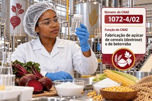 CNAE 1072-4/02 Fabricação de Açúcar de Cereais (Dextrose) e de Beterraba: Guia para Abrir e Tributar